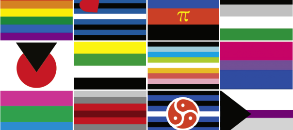 Collage of various Pride flags, including gay pride, leather/BDSM, polyamory, butch/femme and others.
