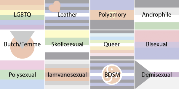 Collage of various Pride flags, including gay pride, leather/BDSM, polyamory, butch/femme and others. Overlaid with the identity terms attached to each flag.